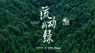 “‘百千萬(wàn)’新地標(biāo)”系列紀(jì)錄片②《流動(dòng)的綠》｜山骨茶魂 鳳凰和鳴
